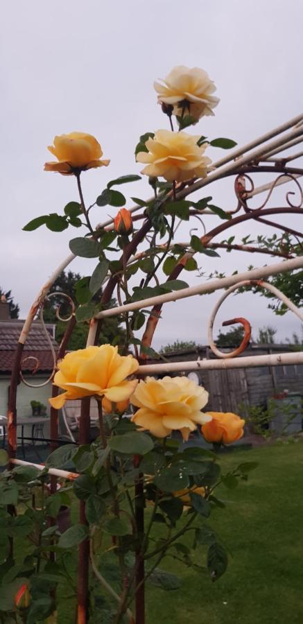The Old Sun Private Cottage Frome Ngoại thất bức ảnh